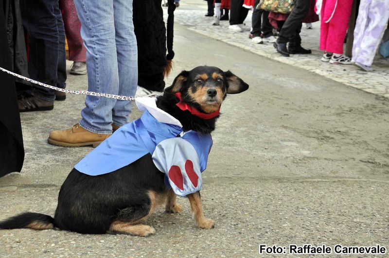 Ingrandisci la foto