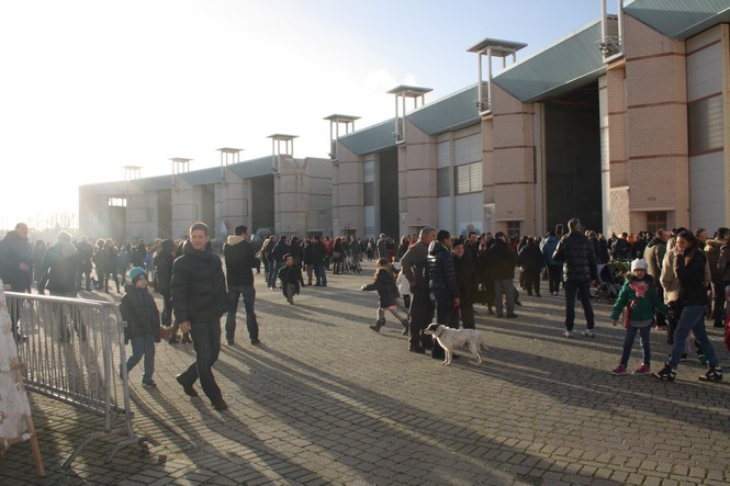 Guarda le foto della galleria 'Domenica di sole alla cittadella del Carnevale'