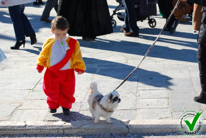 Ingrandisci la foto