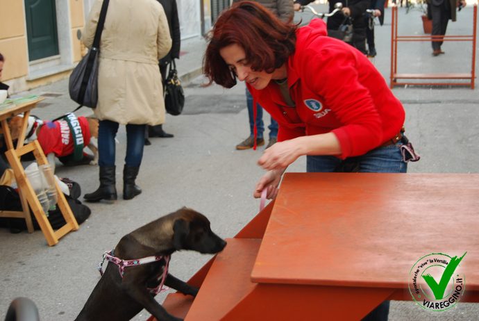 Ingrandisci la foto