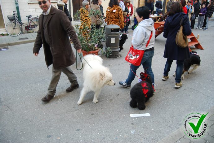 Ingrandisci la foto