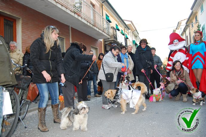 Ingrandisci la foto