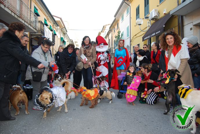 Ingrandisci la foto